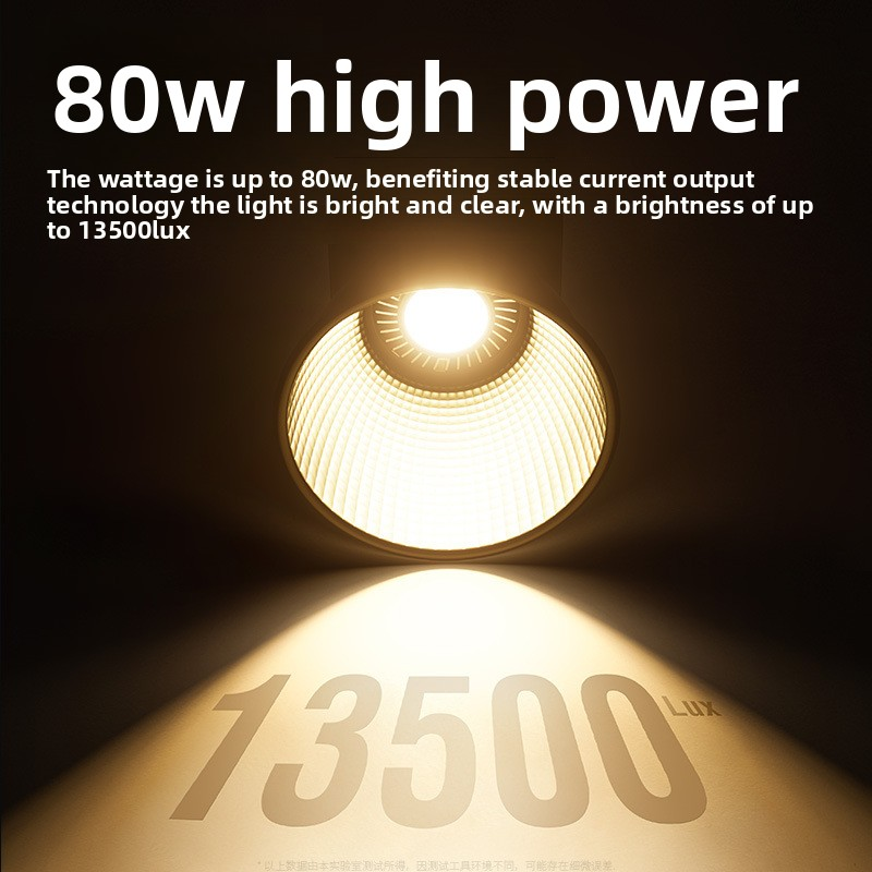 ZU80 80w Handheld Exterior Lam - Photography Lighting Handheld のレビューと価格