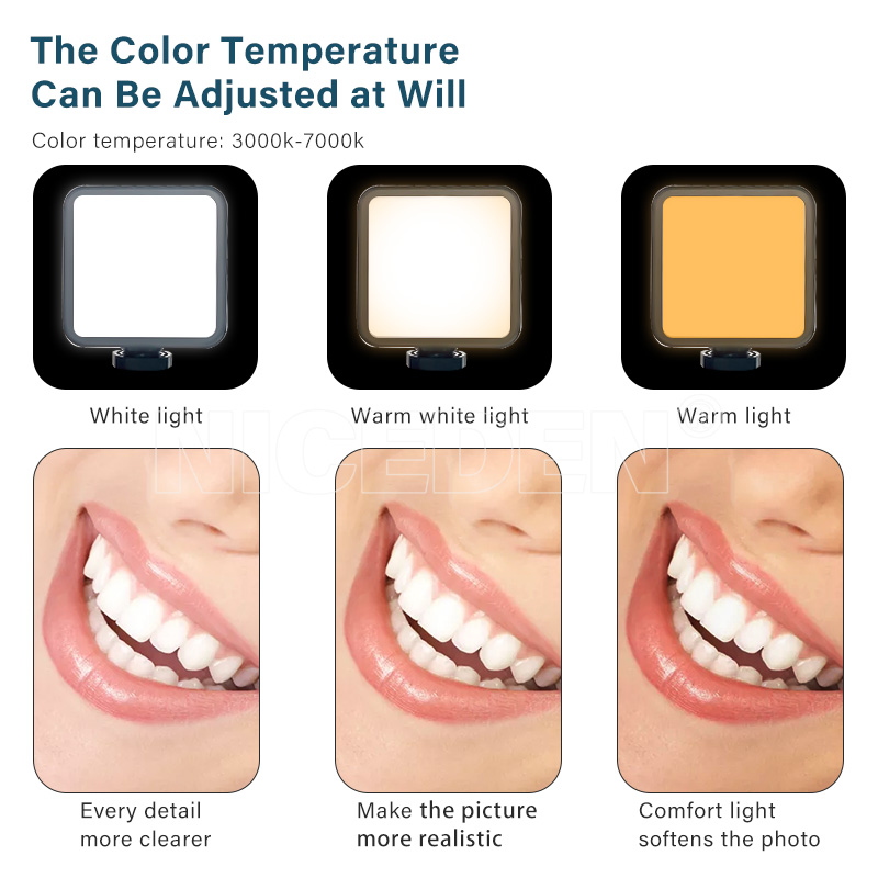 Niceden Dental portable Flash  - Photography Lighting Handheld のレビューと価格