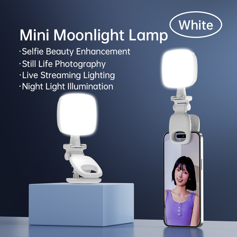 Portable LED Selfie Light Came - Photography Lighting Handheld のレビューと価格