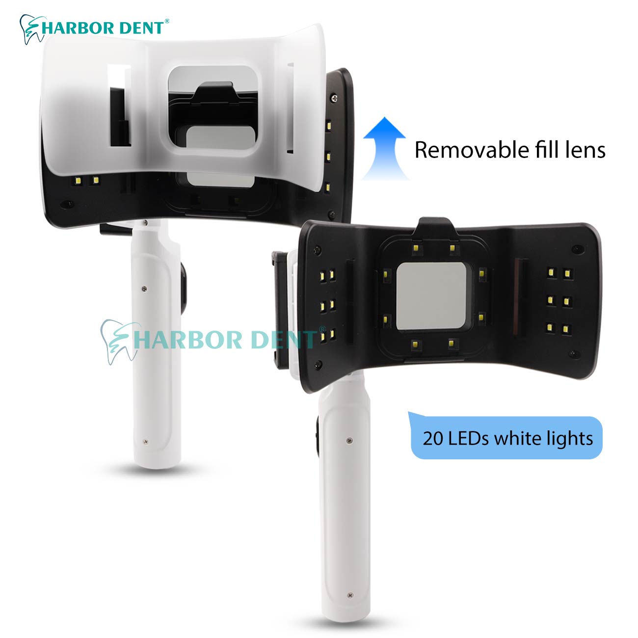 Factory Direct Dental Photogra - Photography Lighting Direction のレビューと価格