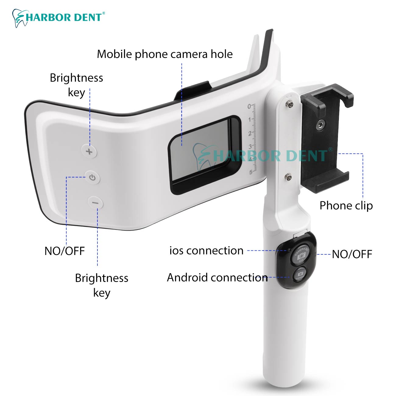 Factory Direct Dental Photogra - Photography Lighting Direction のレビューと価格