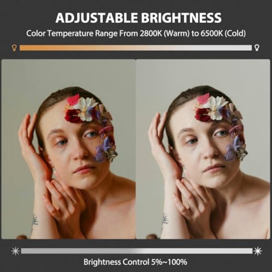 60W COB LED Video Light Handhe - Photography Lighting Handheld のレビューと価格