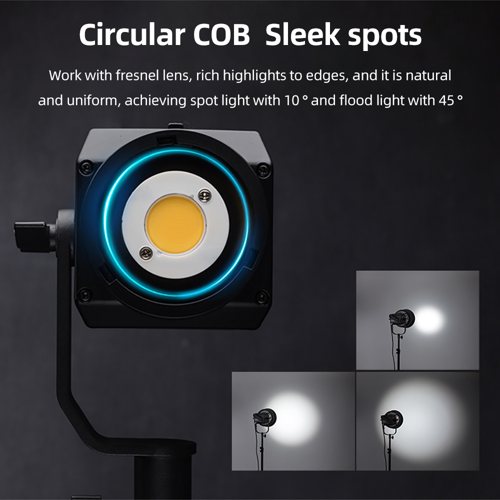 Nanlite Forza 60W Portable 560 - Portable Strobe Monolight のレビューと価格