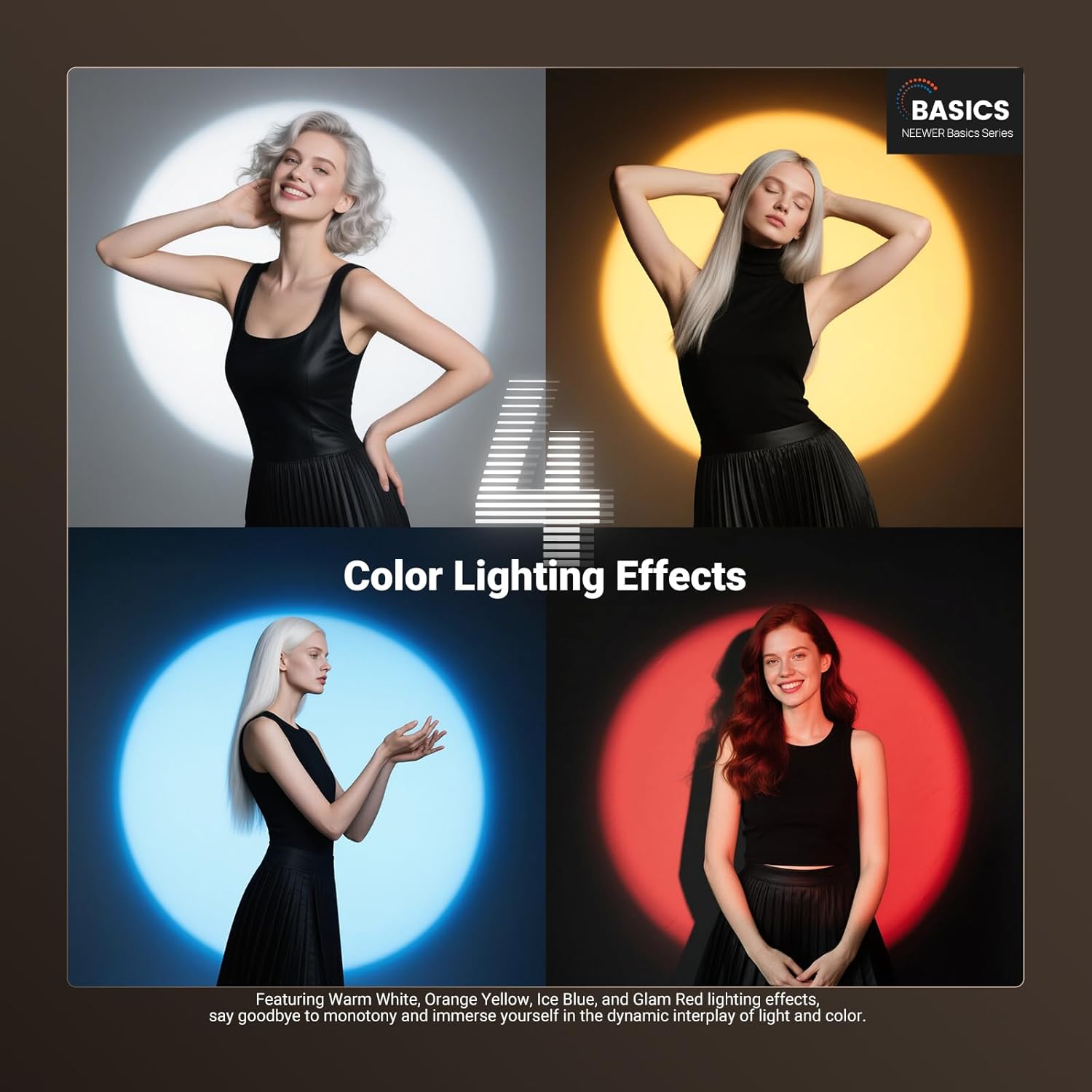 NEEWER BASICS RGB Photography  - Photography Lighting Basics のレビューと価格