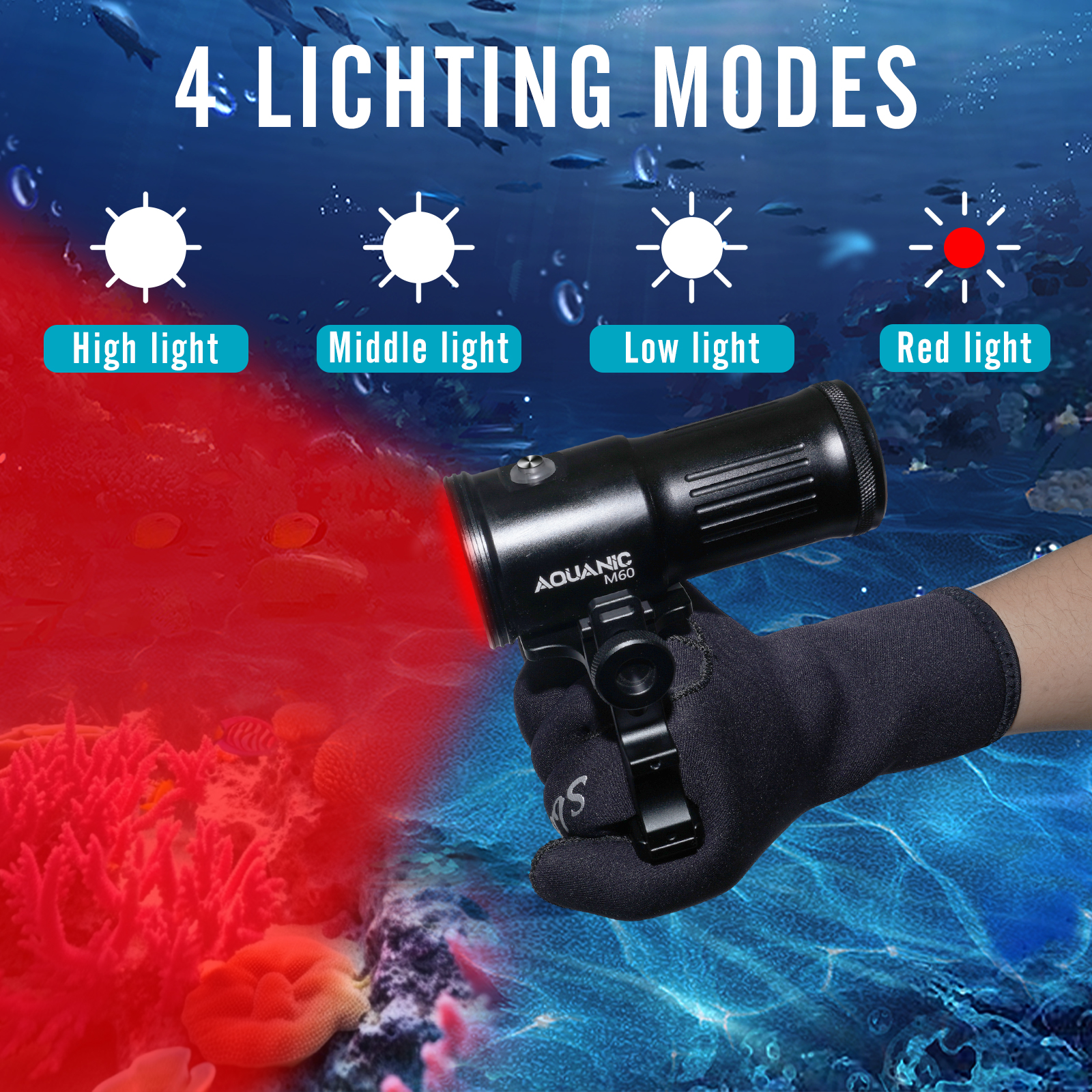 Nitescuba professional diving  - Photography Lighting Types のレビューと価格