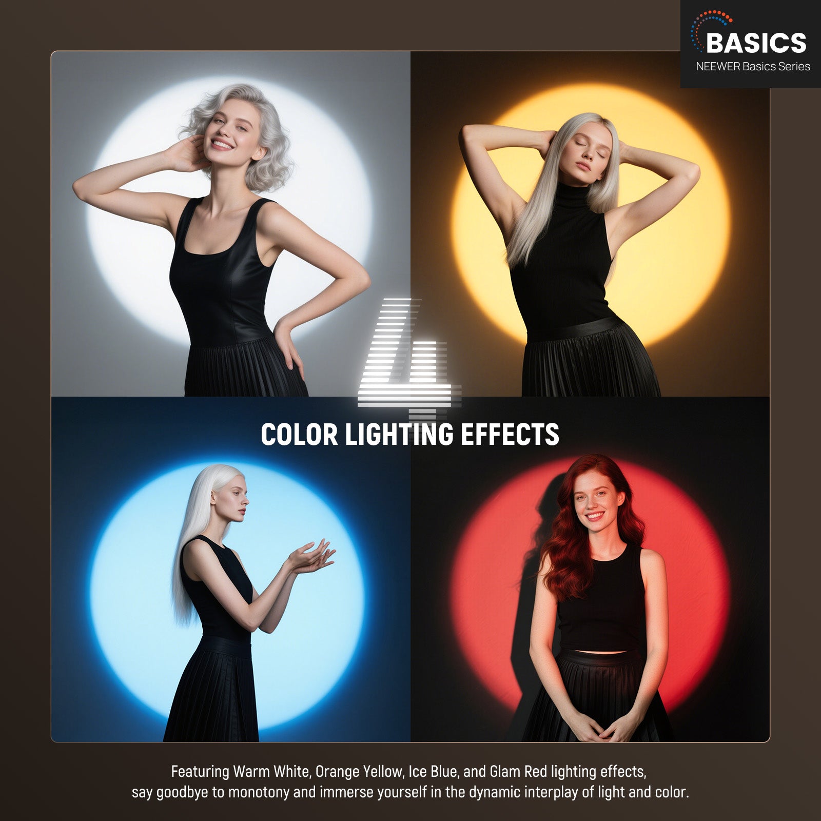 NEEWER BASICS FL10 Photography - Photography Lighting Basics のレビューと価格