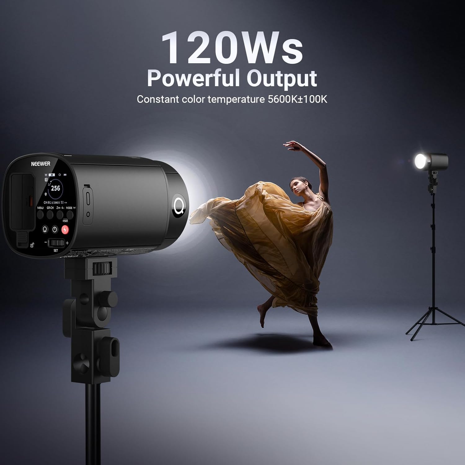 NEEWER 120Ws 2.4G TTL Outdoor  - Portable Strobe Monolight のレビューと価格
